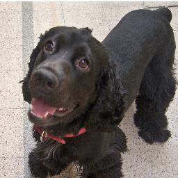 sumbametal's profile picture. 