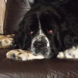 Paulftm's profile picture. 