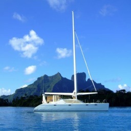 Sarabi2Hulls's profile picture. 