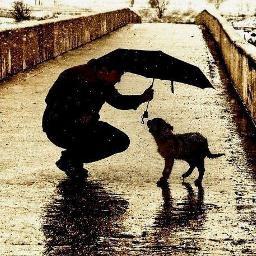 CorpseRebirth's profile picture. Feels like you made a mistake you sent that one to the grave....................... but the whispers at night will save you both from the gate..................