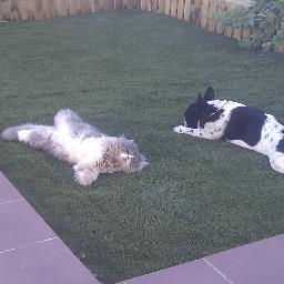 sergioxica's profile picture. jerez de la Fra, Cádiz, Spain