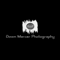 DawnMercerPhoto's profile picture. 