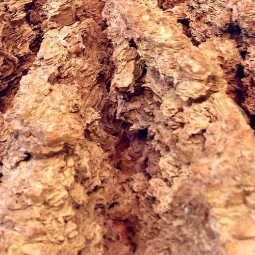 LoterTu's profile picture. 