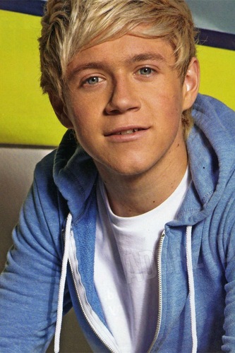 loves one direction, fav color lime green, loves sports, wants every one direction member to follow