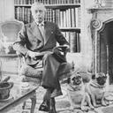 Jake Sandoval - @jake_sando - Twitter