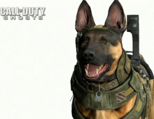 Im That Dog From Call Of Duty Ghosts. I Hate Cats. I Will Be The Best Dog Ever