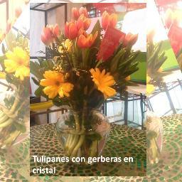 Envio de flores a nivel nacional e internacional tel.(55) 53437841
con 25 años de carrera que avalan nuestra calidad
http://t.co/Bqn8GMrO0t
