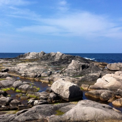 garnet1492's profile picture. 