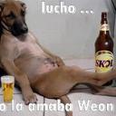 oscar ali - @novoasuarez - Twitter