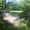 Ricardo Gordon - @ricardogordoner - Twitter