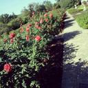 maria cable - @summer101love - Twitter