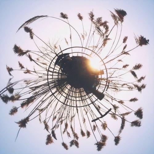 donbeetham's profile picture. 