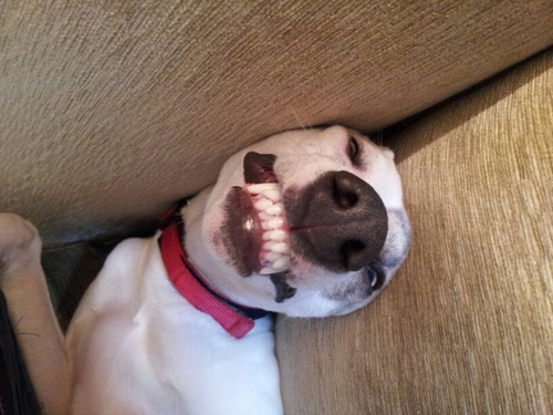 preston2213's profile picture. 😁