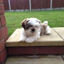 Mark Lloyd - @mlloyd75 - Twitter