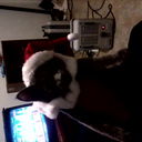 Jennifer boynton - @jenjensevennine - Twitter