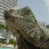 ArubaTelevision (@arubatoday) Twitter profile photo