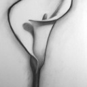 kath pierre-warren - @PierreWarre - Twitter