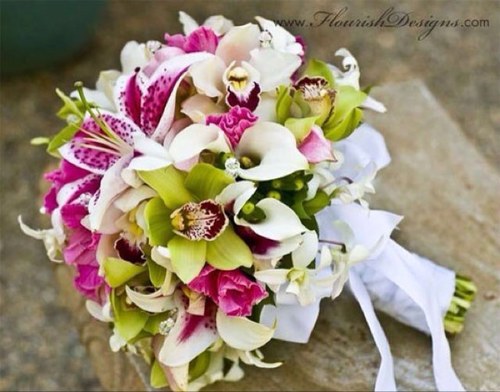 LMBAnonymous's profile picture. 