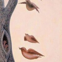 قفلت الحساب  (@youngclam) Twitter profile photo