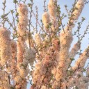 Isabel Martos - @isaru_4 - Twitter