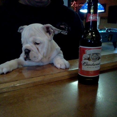 atholcornerpub's profile picture. Friendly local pub with great burgers and cold beer, 3 pool tables, touch tunes juke box and of course KENO!!!!!!!!!