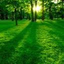 kari suarez - @karisuar1 - Twitter