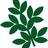 SpecialityTrees's profile image