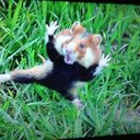 George rea - @Sniper6nov - Twitter