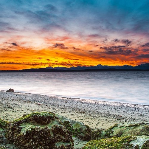 Abba_R's profile picture. 