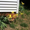 Gretchen wilkinson - @ggwilkinson2 - Twitter