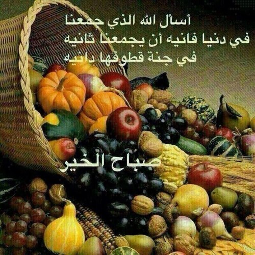 اللهم قدر جميل وخبر جميل وتستجلبه دعوه🍃🌺
