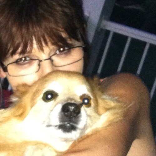 Conservative. Grew up on military bases. Love Music, Animals, Nature, Family, Country and God.