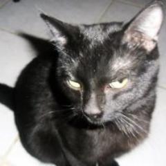 230414saturn's profile picture. 