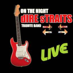 OTN_dIREsTRAITS's profile picture. On The Night - dIRE sTRAITS tribute band from Perugia