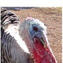 Doug McCall - @FramerDood - Twitter