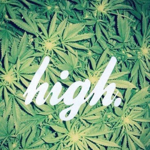 AkaYoDrugDealer's profile picture. The realest shit i ever wrote 
#TeamDirtySprite #TeamOutLate
Grow opp on Twitter