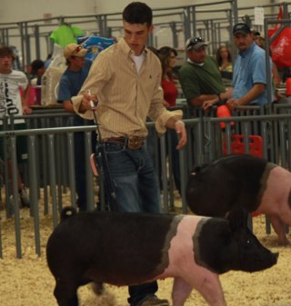 From New Raymer, CO; Past Colorado FFA State Officer; #FryeSistersLivestock