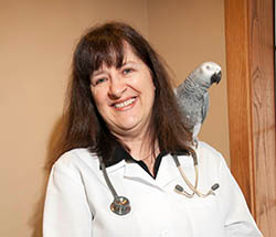 AnimalBoneDr's profile picture. Karen Mueller DVM is a veterinarian who specializes in Animal Chiropractic for horses, dogs and cats. She has trained & shown horses & dogs for over 37 years.