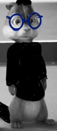 hi im dj from the crazymunks