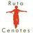 RutaDLosCenotes's profile image