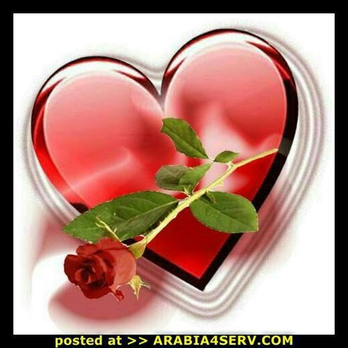 الايجابيه هي الايمان بالله ...وهي طوق النجاة من التعاسه...وهي طريق الناجحين