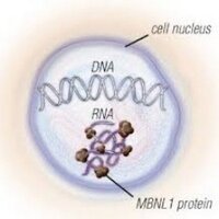 DM1Research (@dm1research) 's Twitter Profile