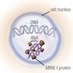 DM1Research (@dm1research) Twitter profile photo