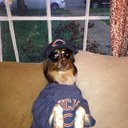 Dan Kenney - @therealdk2k - Twitter