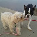 Nicole Amen - @NikkiAmen - Twitter