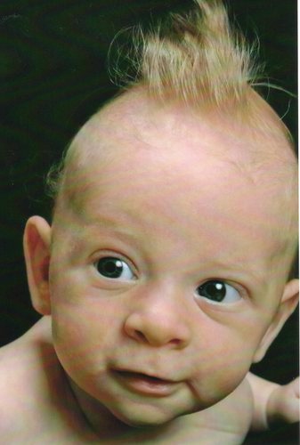 torsolargo's profile picture. 