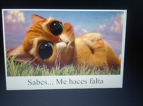 soii biipolar en todo sentiidoo !!