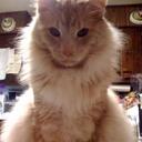 Ted Bair - @TedBair - Twitter