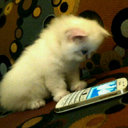 صمـــت* (@9mt_21) Twitter