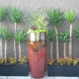 Denver based container gardener and interior designer duo. We focus on succulents, outdoor living and creating the unexpected for our clients!